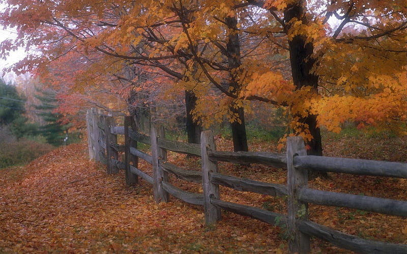 Ohio - Country Autumn, HD wallpaper