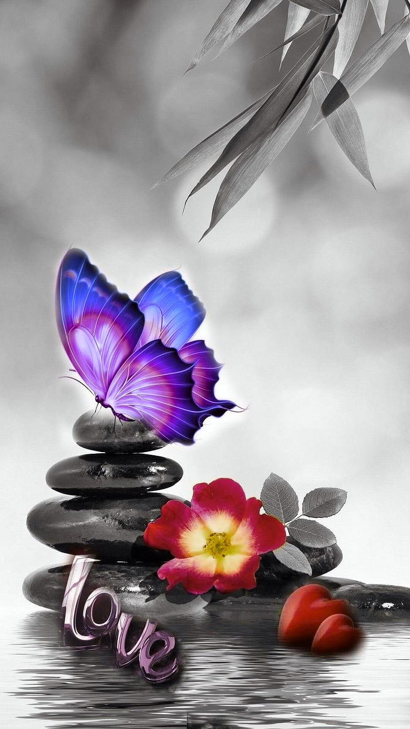 Love, butterfly, flower, corazones, stones, water, zen, HD phone wallpaper  | Peakpx
