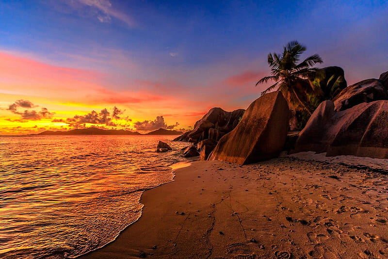 La Digue Island, Seychelles, palm, sunset, sea, rocks, colors, sky, HD wallpaper