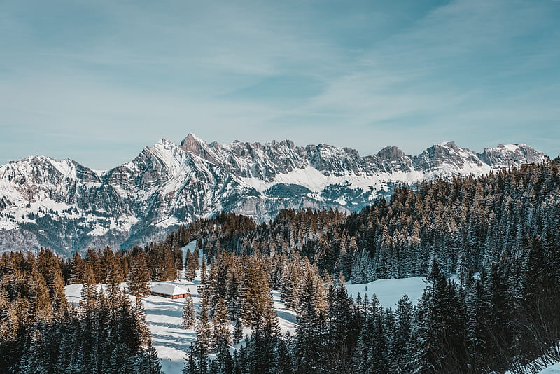 snowline, mountains, trees, winter, house, sky, Nature, HD wallpaper