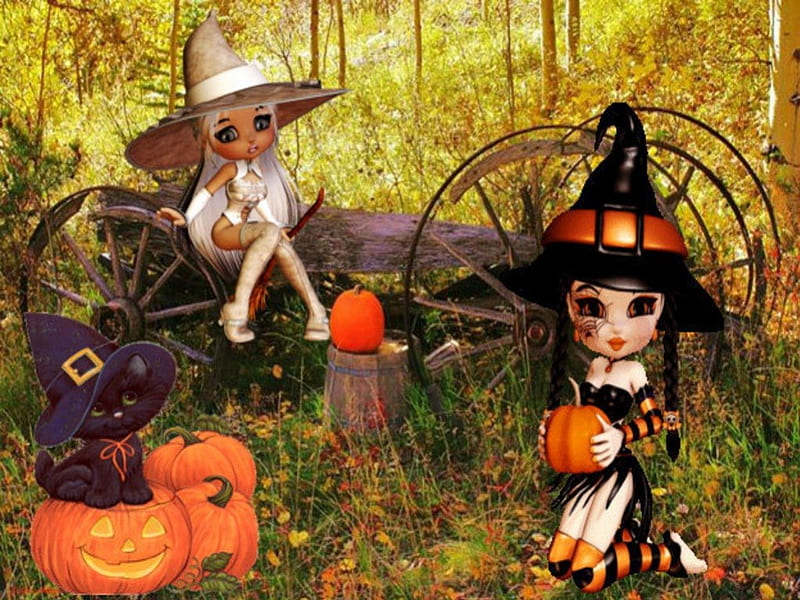 Helloween, orange pumpkin, blackwitch, whitewitch, blackcat, HD wallpaper