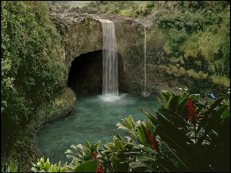Secret Getaway, flowers, nature, waterfalls, cave, HD wallpaper