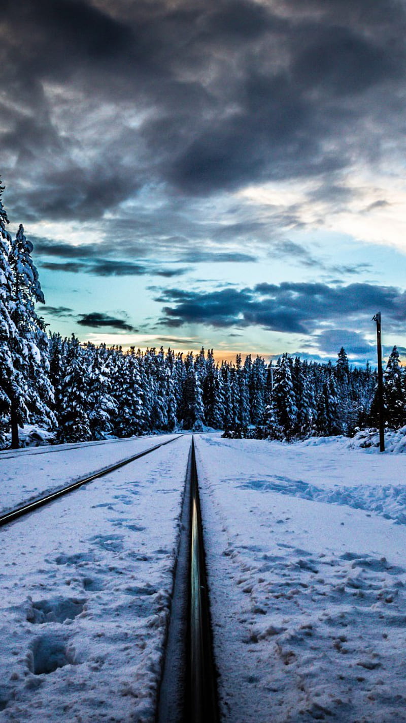 Rails road, road, snow, train, HD phone wallpaper