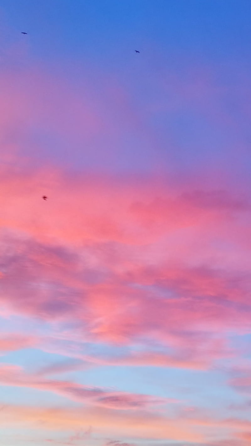pink clouds, blue, cloud, nature, sky, sunsets, HD phone wallpaper