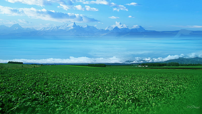Sea Beyond the Fields, farm, green, mountains, country, clouds, sky, field, sea, HD wallpaper