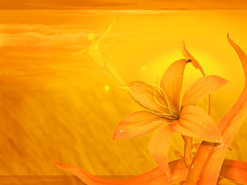 orange flower, gold, 3d, orange, view, flowers, nature, HD wallpaper