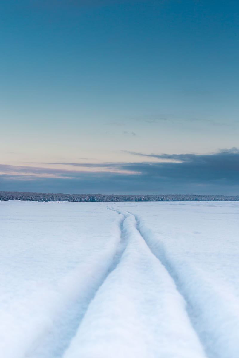 field, snow, tracks, winter, HD phone wallpaper