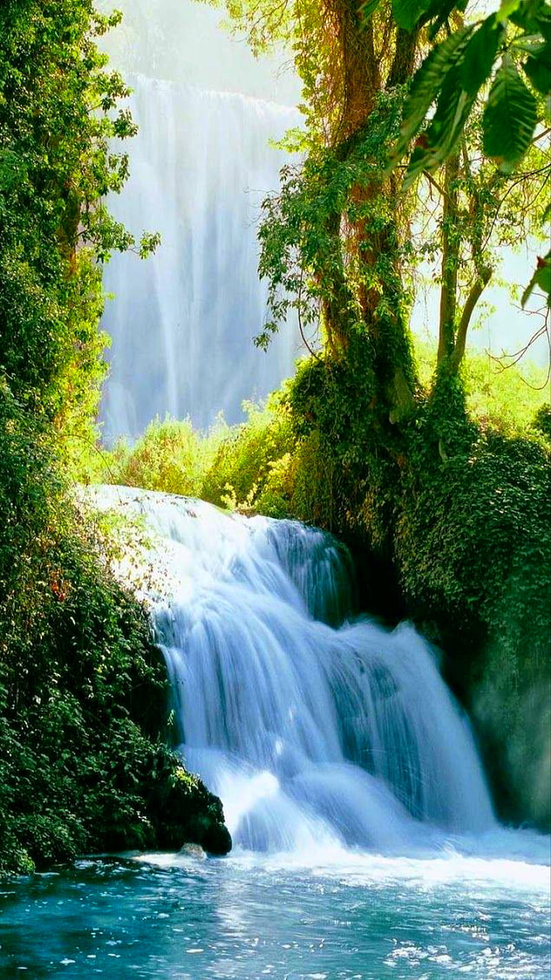 Waterfall, falls, landscape, nature, river, tress, water, HD phone wallpaper