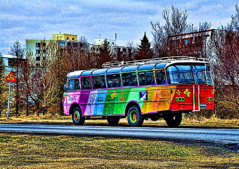 You can't miss the bus, red, grafitti, orange, colors, green bus on road, bus, purple, pink, blue, HD wallpaper