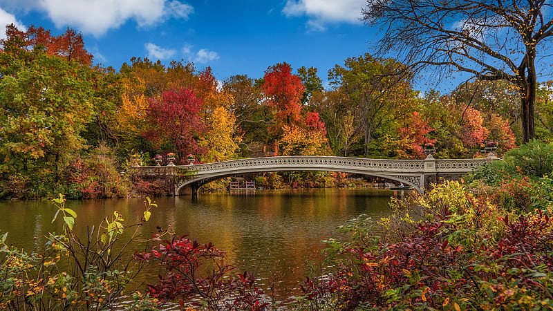 New York USA Central Park Bridge Under Blue Sky And Clouds During Fall Nature, HD wallpaper