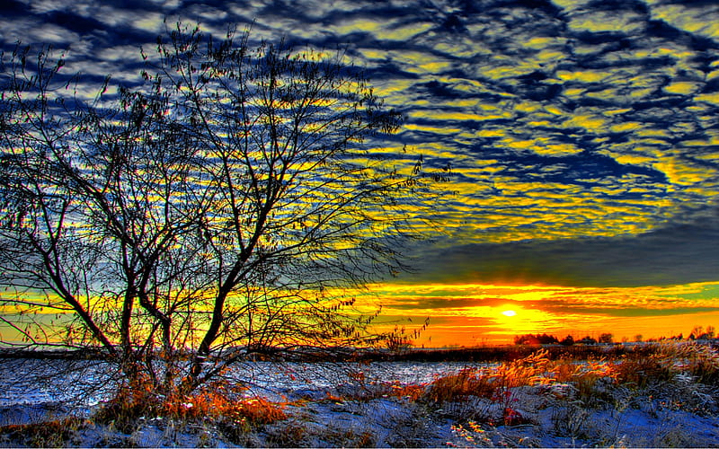 Early Morning Sunrise, tree, plant, nature, sunrise, clouds, field, HD  wallpaper | Peakpx