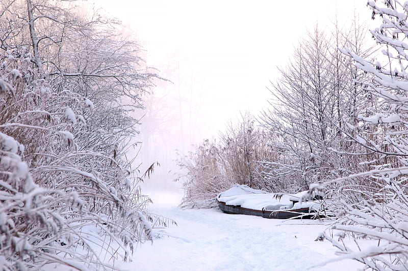 graphy, Winter, Boat, Fog, Path, Snow, HD wallpaper