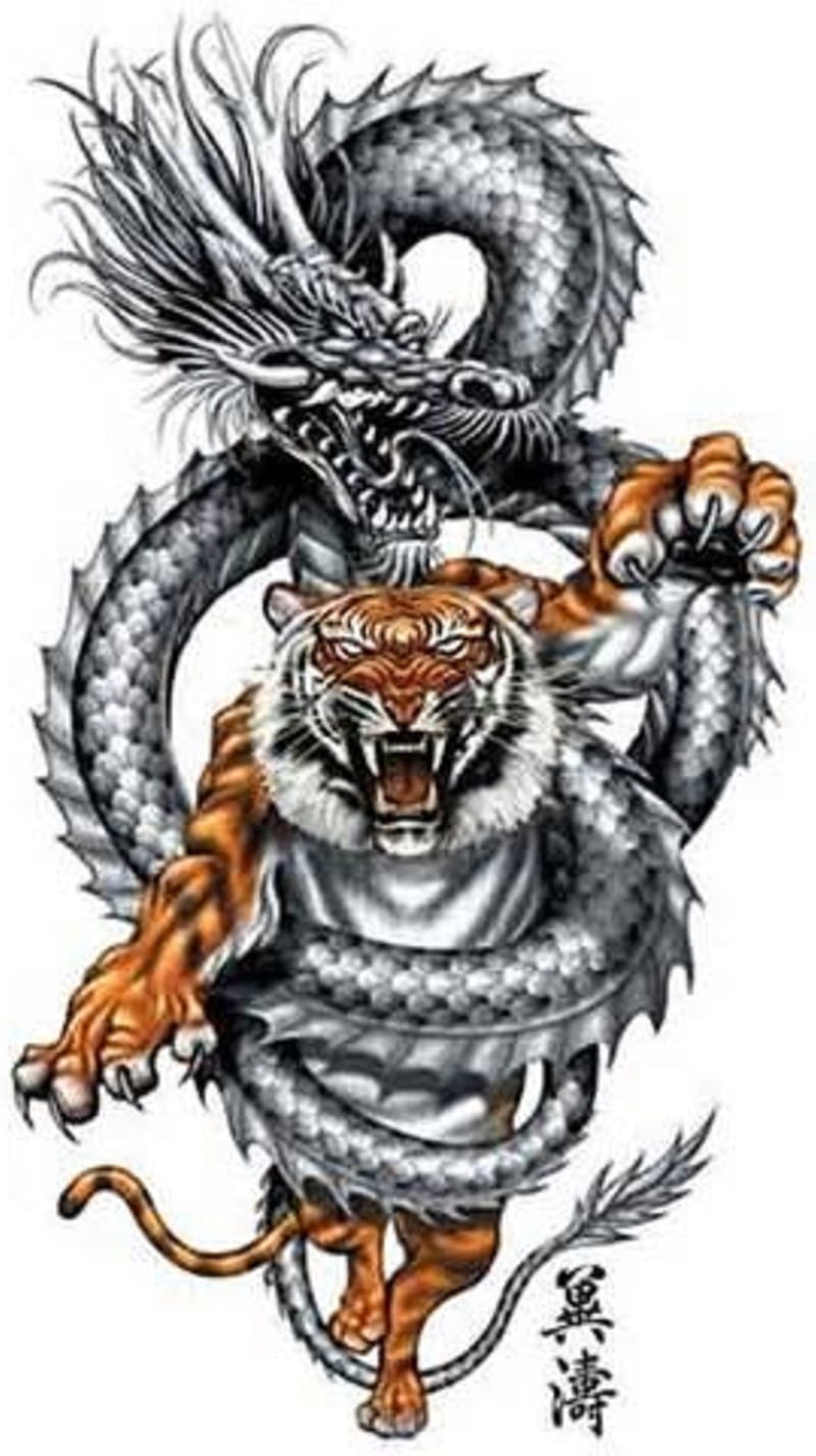 Dragon Tiger, tattoo, HD phone wallpaper | Peakpx
