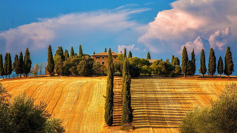 Tuscany near Siena, trees, cypress, italy, house, clouds, sky, HD wallpaper