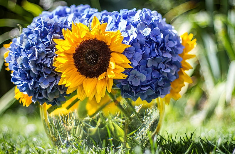 Hydrangeas and Sunflowers, grass, vase, spring, hydrangeas, water, sunflowers, summer, flowers, arrangement, sunshine, HD wallpaper
