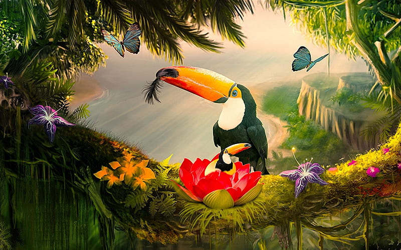 Tucan, cartoon, butterfly, bird, HD wallpaper | Peakpx