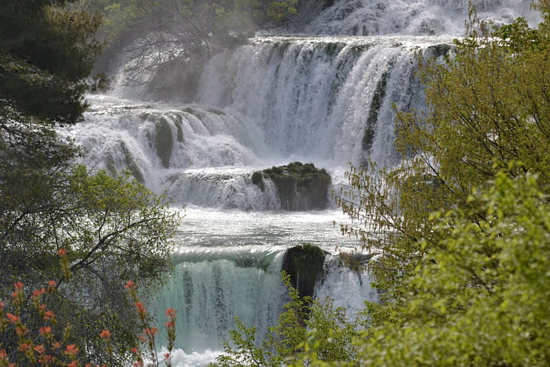river Krka, croatia, krka, nature, river, waterfalls, HD wallpaper