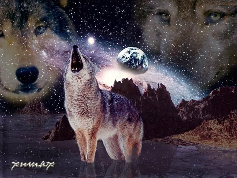 Spirit Wolves, fantasy, ghost, shadows, wolf, howl, HD wallpaper