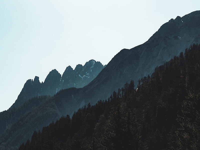 Green trees on mountain during daytime, HD wallpaper | Peakpx