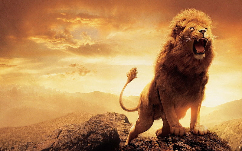 King of His Domain, rocks, roar, digital, Lion, browns, sky, animals, africa, HD wallpaper