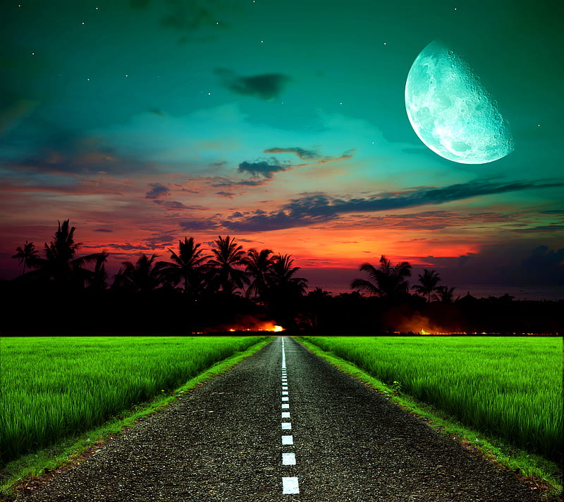 Moonlit Road, moonlit field evening, road night, sunset, HD wallpaper