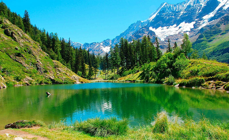 Schwarzsee Lake, Blatten, Alps, forest, Valais, bonito, Switzerland, trees, lake, mountains, green water, nature, snowy peaks, HD wallpaper