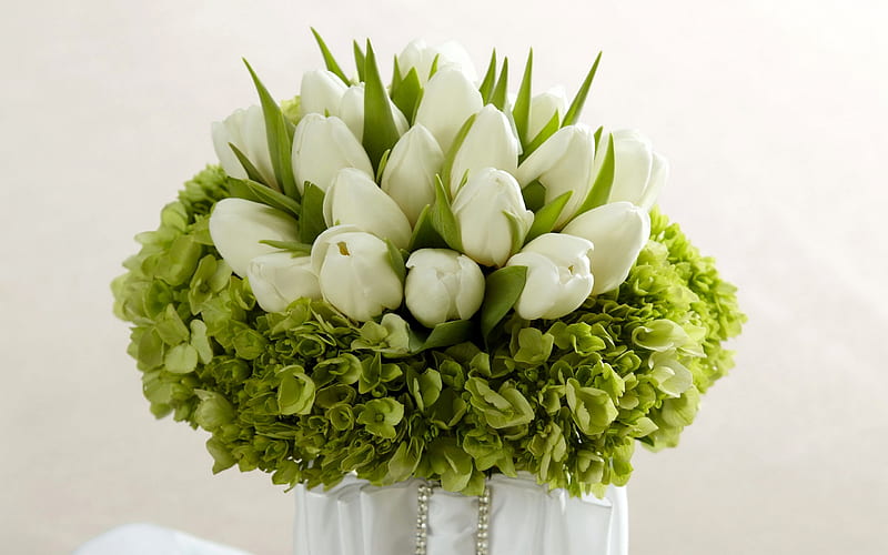 white tulips, hydrangea, beautiful bouquet, spring flowers, bouquet of tulips, HD wallpaper