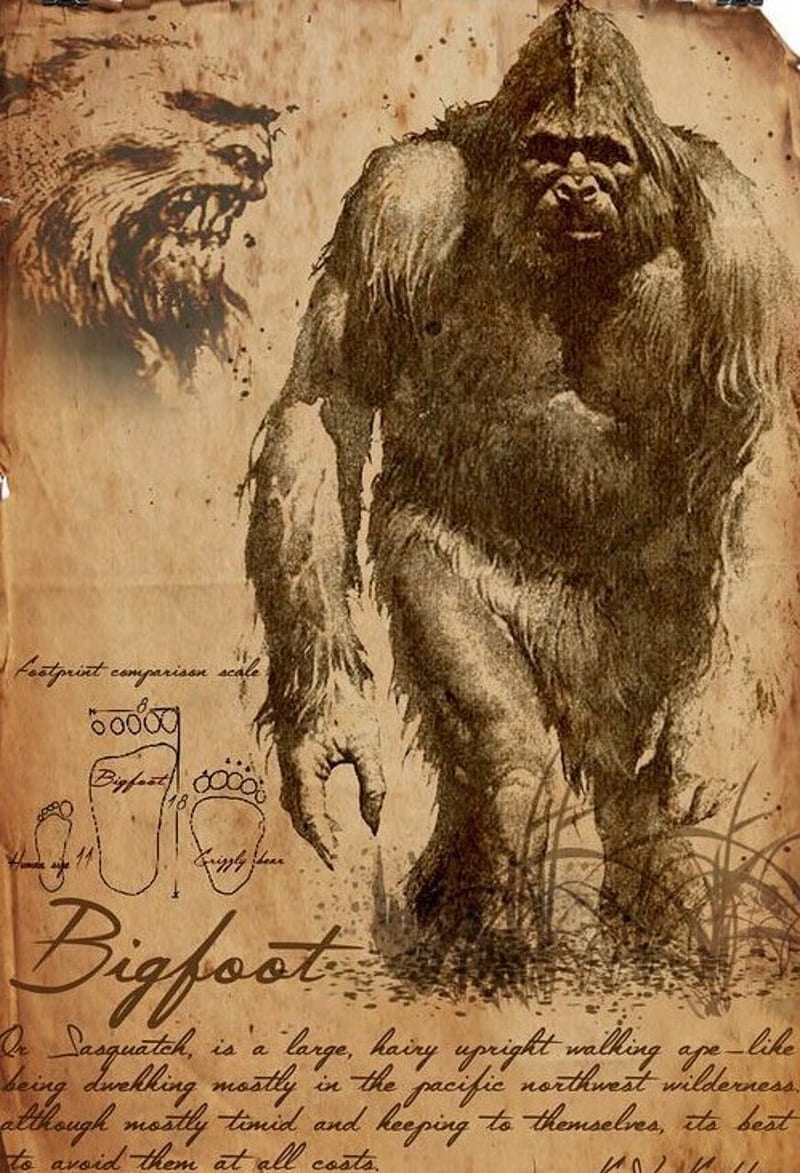 Bigfoot, wild man, legend, ape, monster, HD phone wallpaper