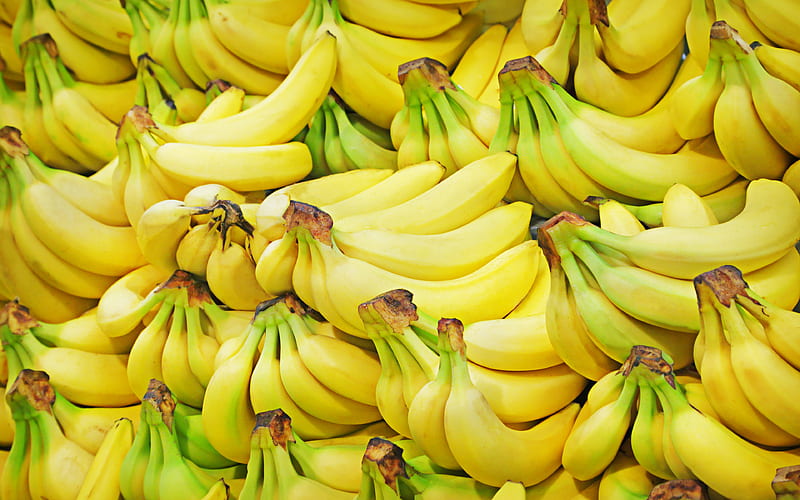 Banana Mountain fruits, ripe bananas, bunch of bananas, tropical fruits, bananas, HD wallpaper