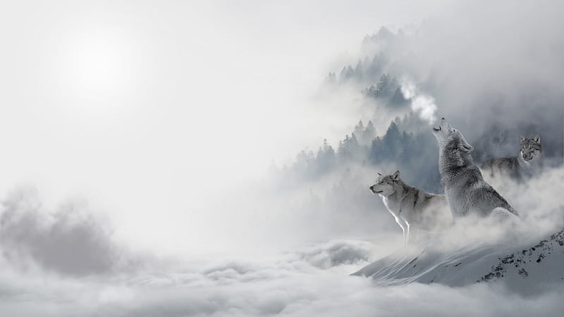 Những hình ảnh về sói trắng uốn éo thật kỳ diệu khi chúng ta có dịp thưởng thức cùng với những đám mây trên bầu trời. Hình ảnh về sự hoang dã của động vật sói trong khung cảnh đó được tạo ra với chất lượng HD sẽ mang lại cho bạn những trải nghiệm thú vị.