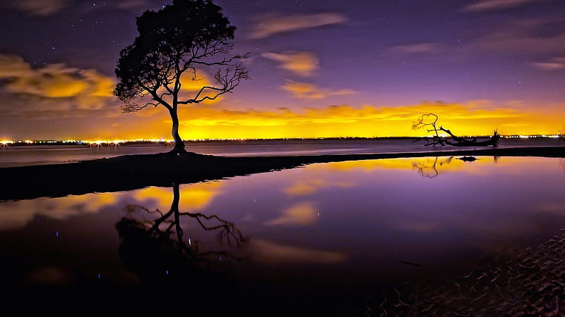 Beautiful Gold Purple Sunset, sunset, trees, sky, clouds, lake, gold, purple, nature, evening, HD wallpaper