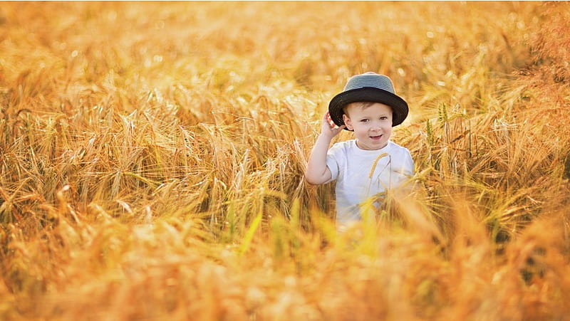 Cute Baby In Summer Field, HD wallpaper | Peakpx
