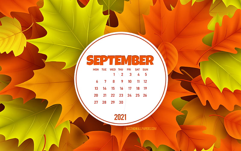2021 September Calendar, , background with autumn leaves, September 2021 Calendar, 2021 concepts, 2021 calendars, September, HD wallpaper