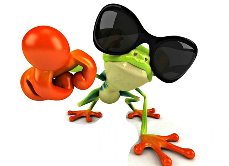 Hey, you!, sunglasses, frog, green, orange, black, funny, white, card, HD wallpaper
