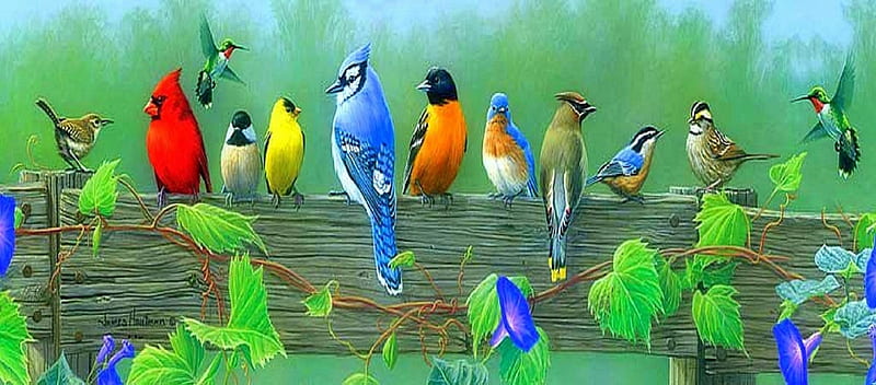 ★Songbirds with Brothers★, pretty, lovely, songbirds, love four seasons, panoramic view, birds, bonito, spring, attractions in dreams, creative pre-made, most ed, digital art, seasons, leaves, paintings, animals, HD wallpaper