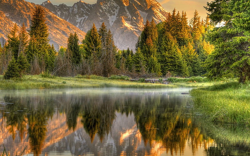 Mountains close the lake, mountains, pinetrees, close, sunburst, lake, sunbeam, reflecting, HD wallpaper