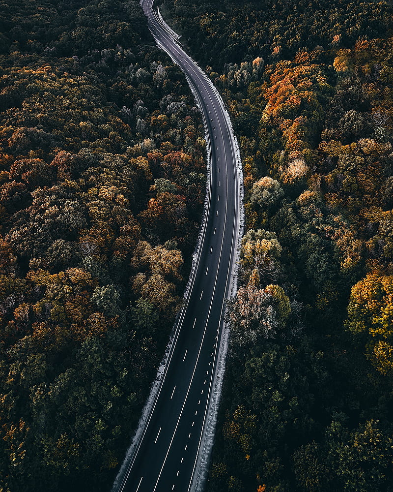 asphalt, aerial, forest, road, highway, landscape, aerial view, HD phone wallpaper