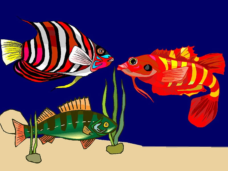 Rare Colorful Fish, sand, orange, blue, red, fish, desenho, HD wallpaper
