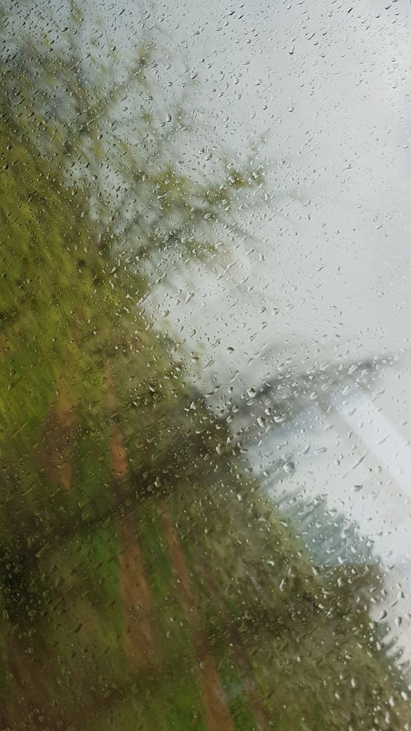 rainy day, earth, forest, green, nature, planet, science, train, water, HD phone wallpaper