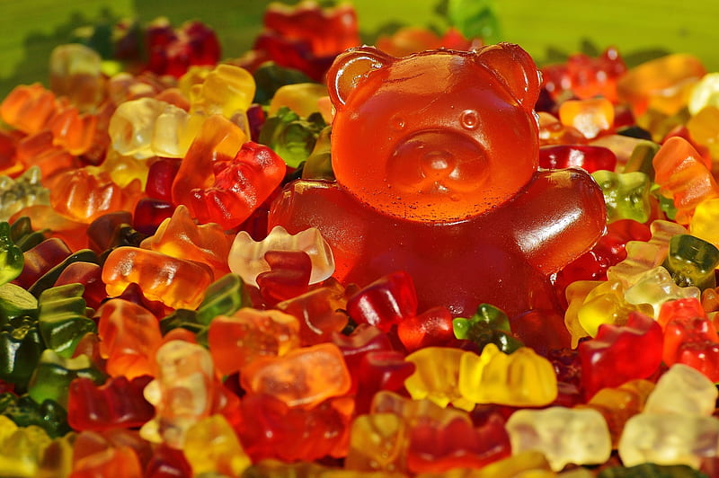 Gummy Bear, Gummy, candy, Bear, sweet, HD wallpaper