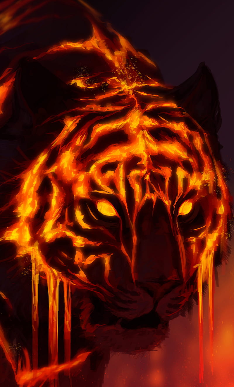 Lava Tiger, fire, HD phone wallpaper | Peakpx