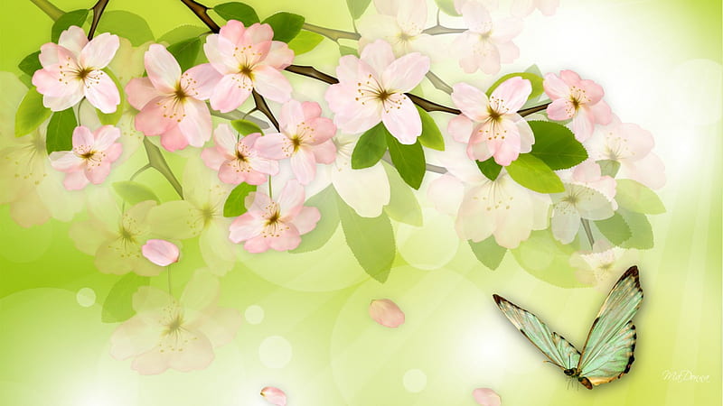 Cherry Blossoms Sweet, apple, flowers, fragrant, Sakura, soft, spring, sweet, tree, butterfly, green, blossoms, papillon, flowers, petals, blooms, HD wallpaper