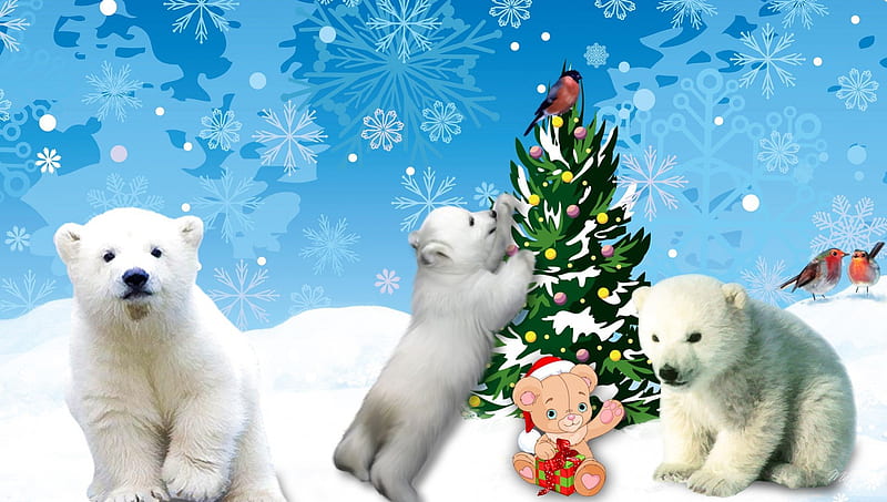 Polar Bears Christmas, Christmas, cute, tree, decorate, snow, polar bears,  bears, HD wallpaper | Peakpx