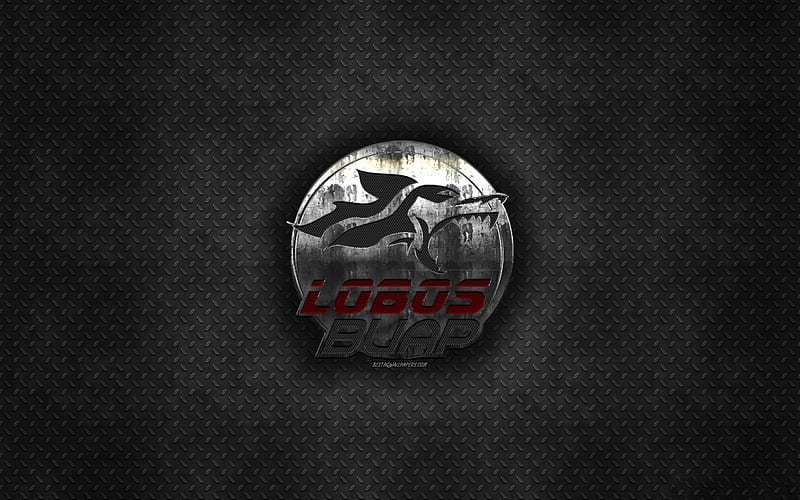 Lobos BUAP, Mexican football club, gray metal texture, metal logo, emblem, Puebla de Zaragoza, Mexico, Liga MX, creative art, football, HD wallpaper