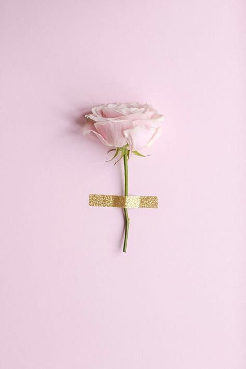 rose, cute, floral, pastel, pattern, pink, HD phone wallpaper