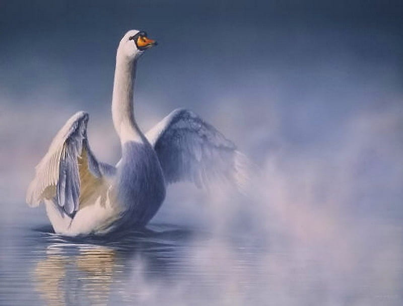 Misty bath, Mute swan, water, bird, swan, mist, HD wallpaper