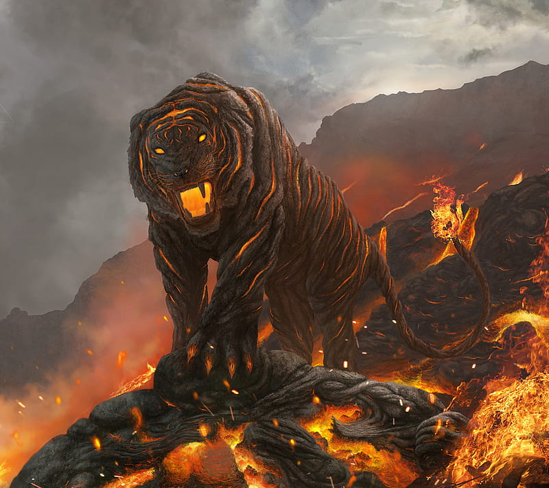 Fire Tiger, fire, lava, tiger, volcano, HD wallpaper