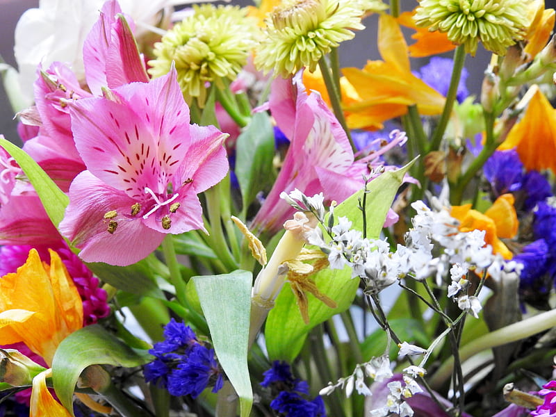 Beautiful Bouquet, graphy, Flowers, Nature, HD wallpaper | Peakpx