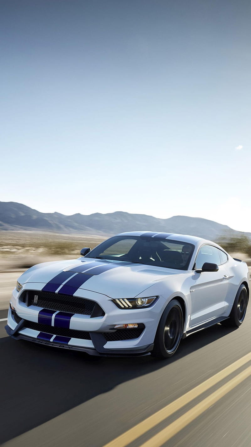 Mustang Shelby, ford, gt 500, mustang, shelby, HD phone wallpaper