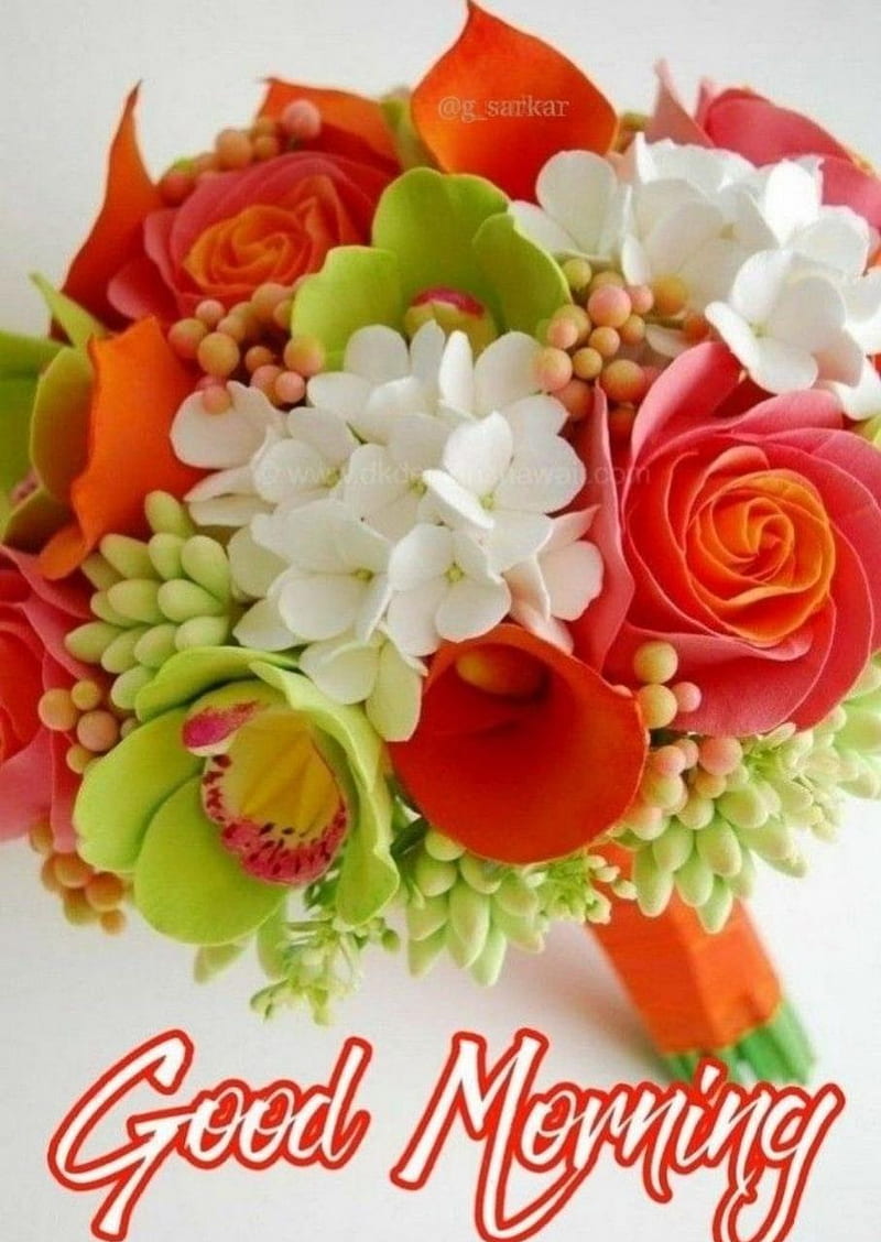 Good Morning Flowers, good morning, love, nature, rose, roses, HD phone  wallpaper | Peakpx